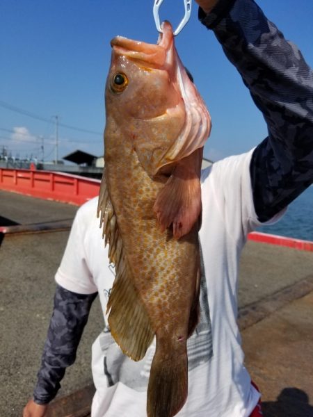 オーフリー 釣果