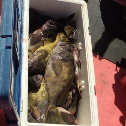 第八平成丸 釣果