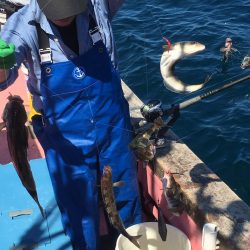 第八平成丸 釣果