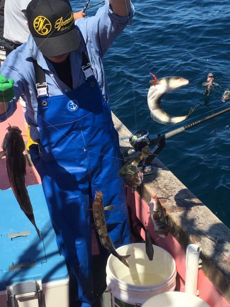 第八平成丸 釣果