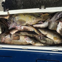 第八平成丸 釣果