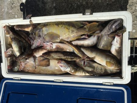 第八平成丸 釣果