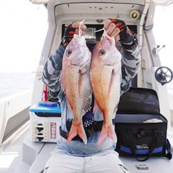 松本釣船２ 釣果