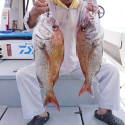 松本釣船２ 釣果