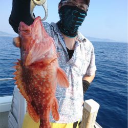 マタウマリンサービス 釣果