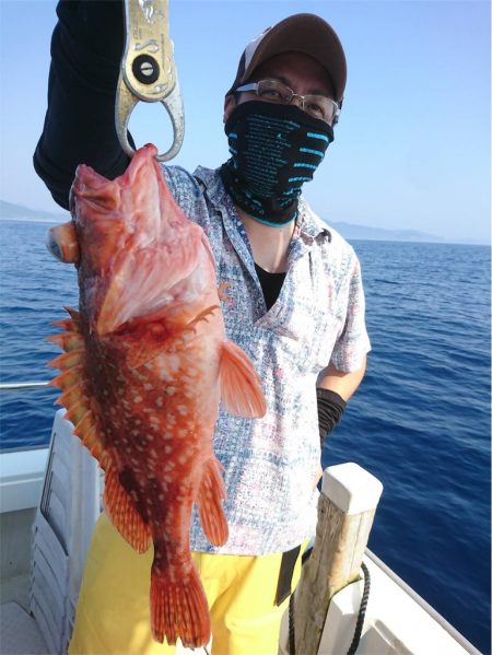 マタウマリンサービス 釣果