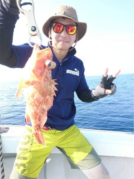 マタウマリンサービス 釣果