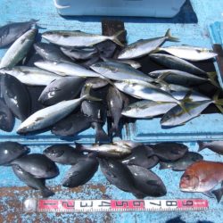 海宝丸 釣果