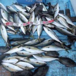 海宝丸 釣果