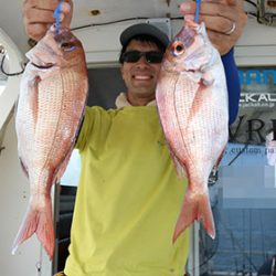 松本釣船2 釣果