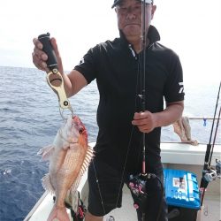 マタウマリンサービス 釣果