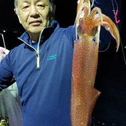 珀宝丸 釣果