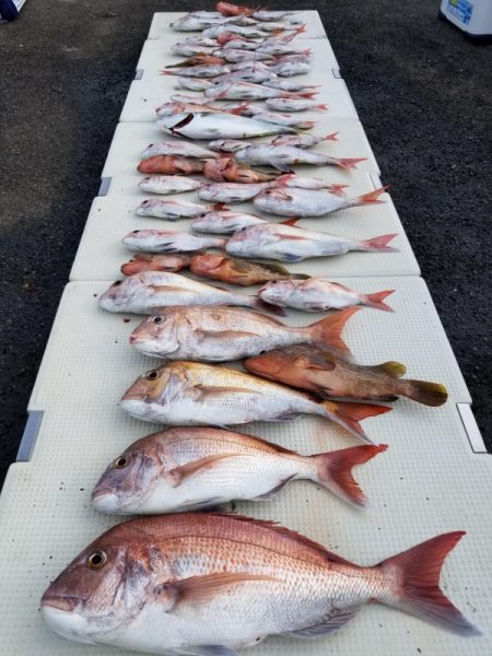 オーフリー 釣果