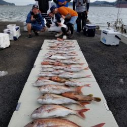 オーフリー 釣果