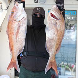 松本釣船２ 釣果