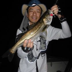 ルアー船マヒマヒ 釣果