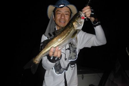 ルアー船マヒマヒ 釣果