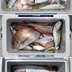 来温丸(らいおんまる) 釣果