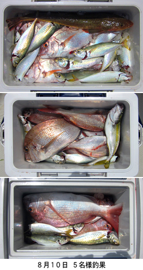 来温丸（らいおんまる） 釣果