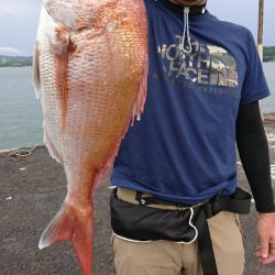 オーフリー 釣果