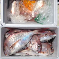来温丸(らいおんまる) 釣果