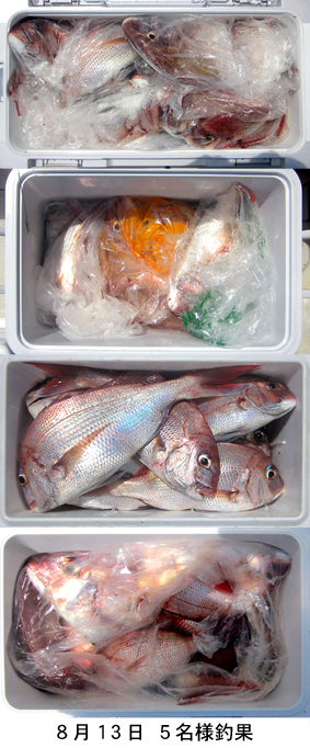 来温丸（らいおんまる） 釣果