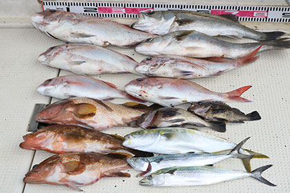 松本釣船２ 釣果