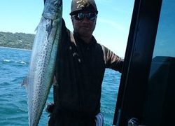 愛裕南丸 釣果