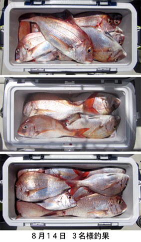 来温丸（らいおんまる） 釣果