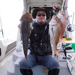 松本釣船２ 釣果