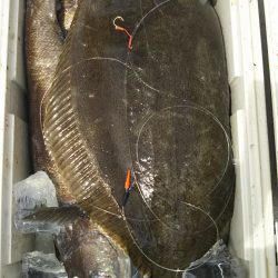 モンロー号 釣果