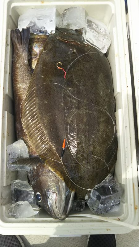 モンロー号 釣果