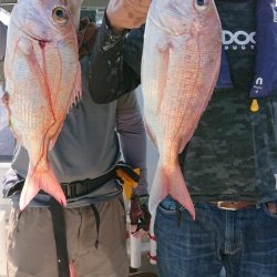 オーフリー 釣果