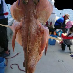 オーフリー 釣果