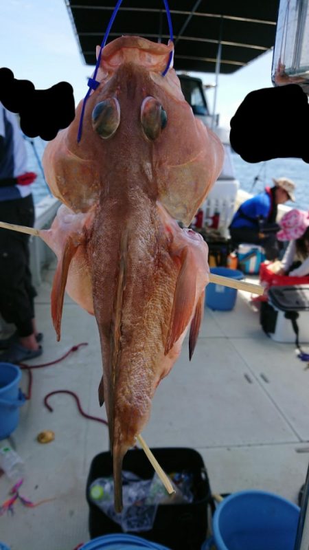 オーフリー 釣果