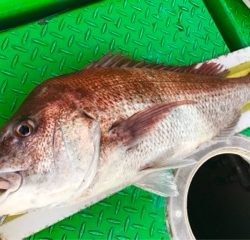 利弥丸（としやまる） 釣果