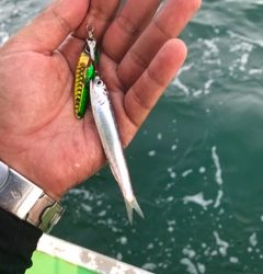 利弥丸（としやまる） 釣果