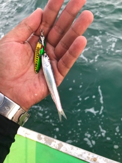 利弥丸（としやまる） 釣果