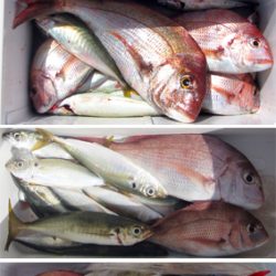 来温丸（らいおんまる） 釣果