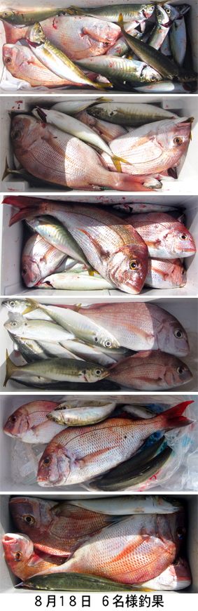 来温丸（らいおんまる） 釣果