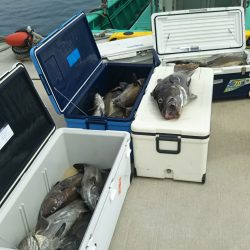 モンロー号 釣果