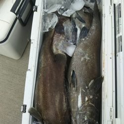 モンロー号 釣果