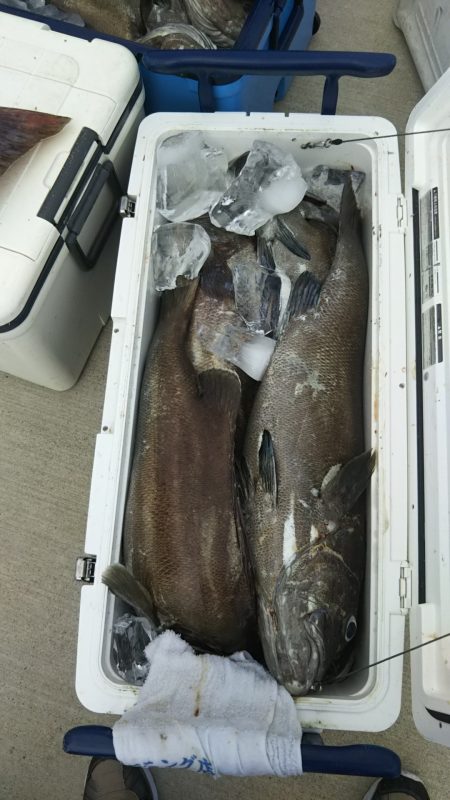 モンロー号 釣果