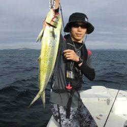 ルアー船マヒマヒ 釣果