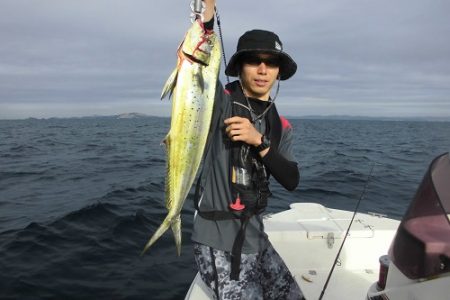 ルアー船マヒマヒ 釣果