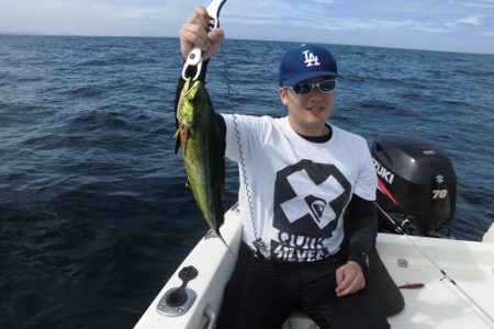 ルアー船マヒマヒ 釣果