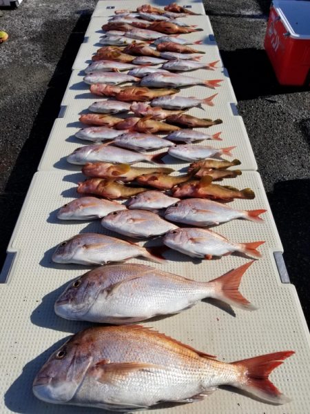 オーフリー 釣果