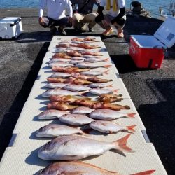 オーフリー 釣果