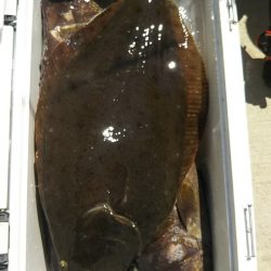 モンロー号 釣果