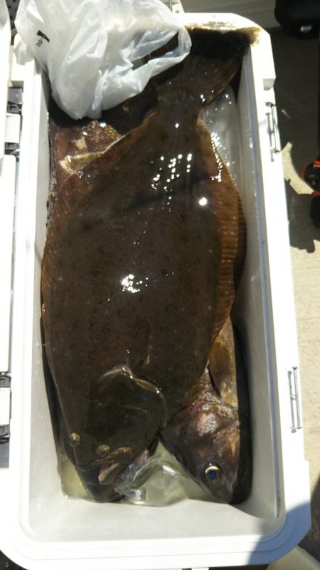 モンロー号 釣果